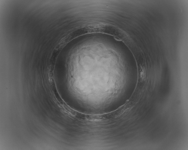 X0000068320819200604211203