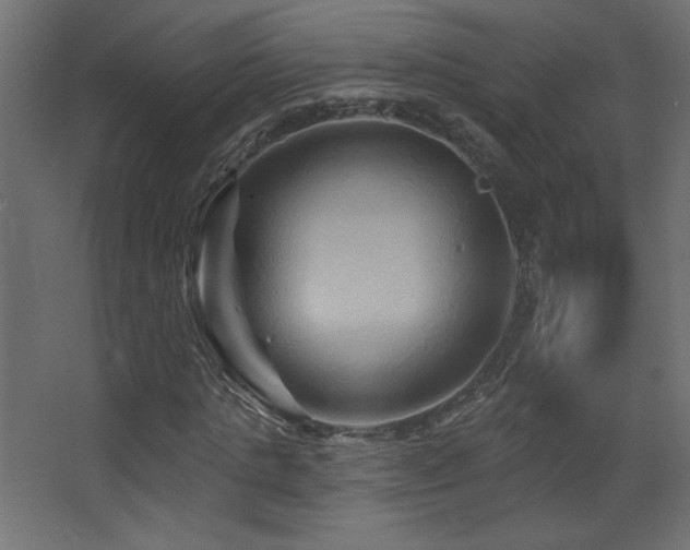 X0000068320821200604211203