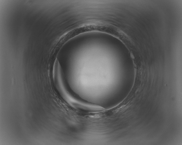 X0000068320822200604211203