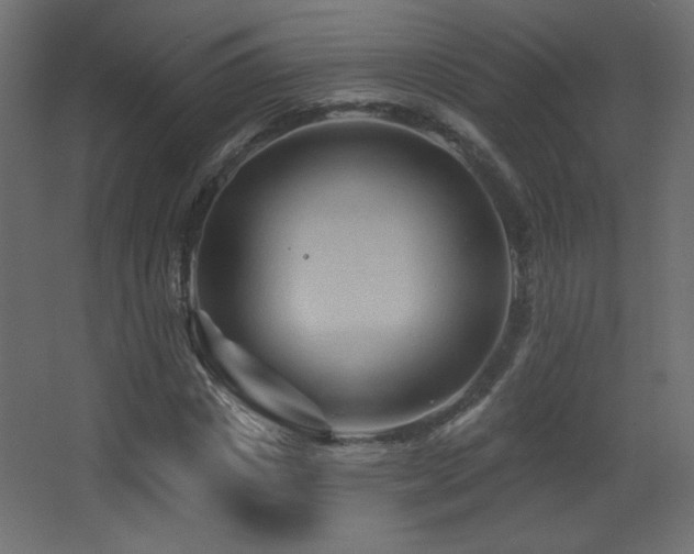 X0000068320825200604211203