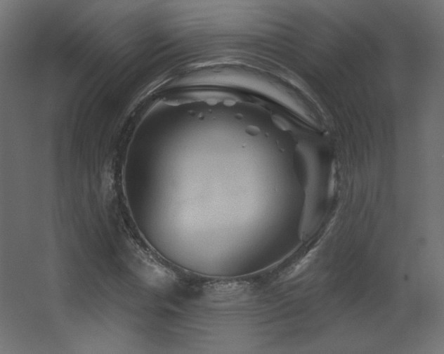 X0000068320826200604211203