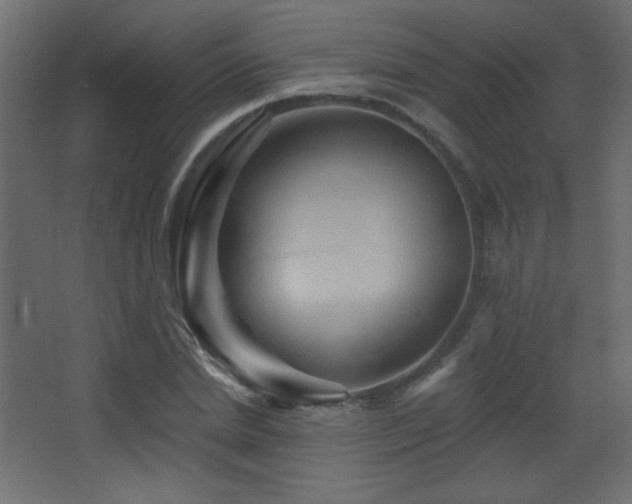 X0000068320830200604211203