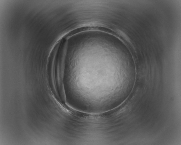 X0000068320831200604211203