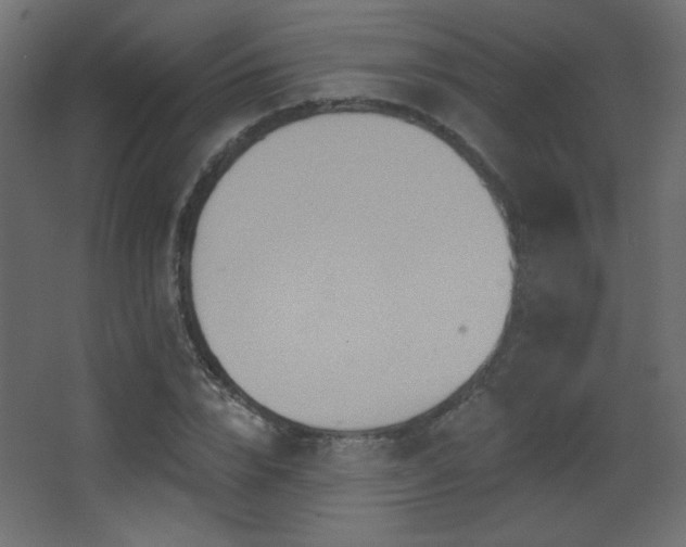 X0000068320832200604211203