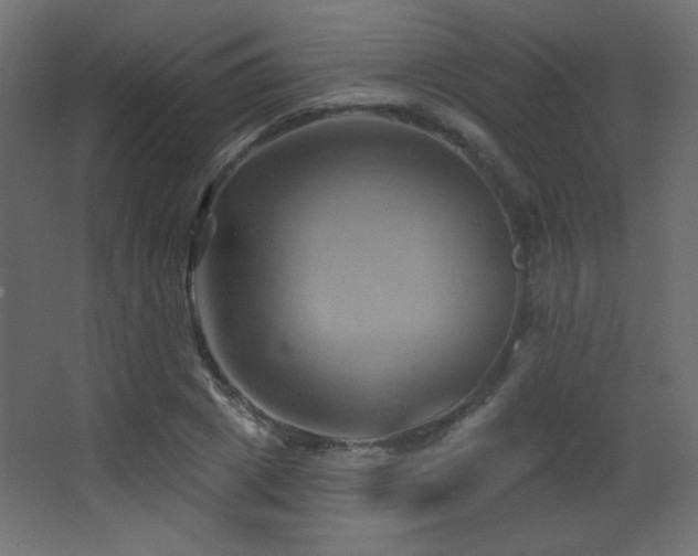 X0000068320833200604211203