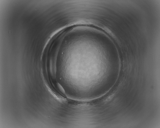 X0000068320838200604211203
