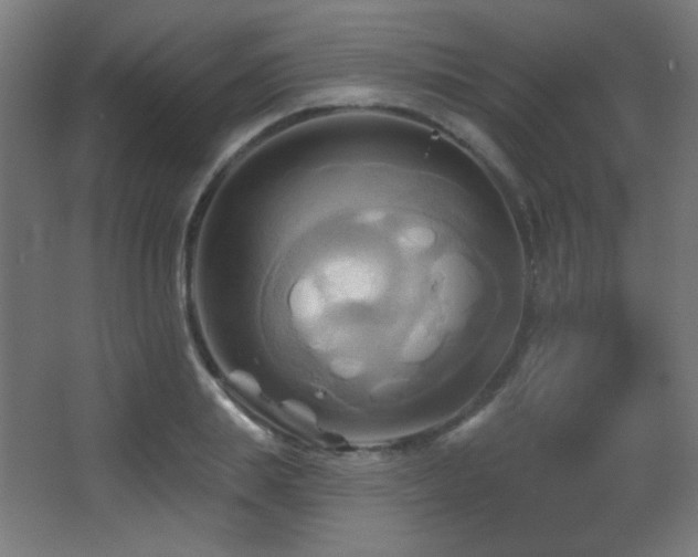 X0000068320839200604211203