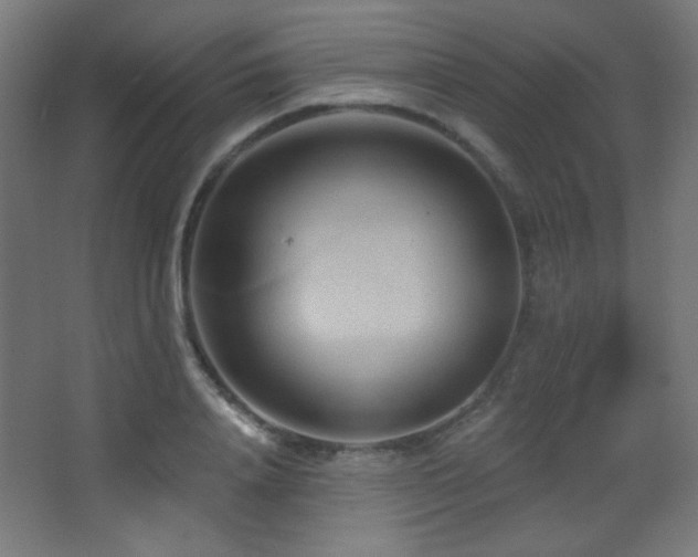X0000068320840200604211203