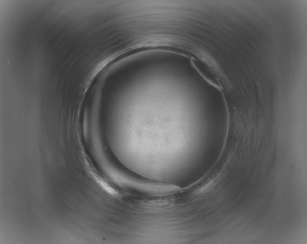 X0000068320842200604211203