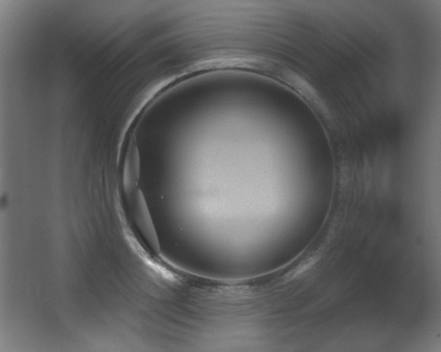 X0000068320844200604211203