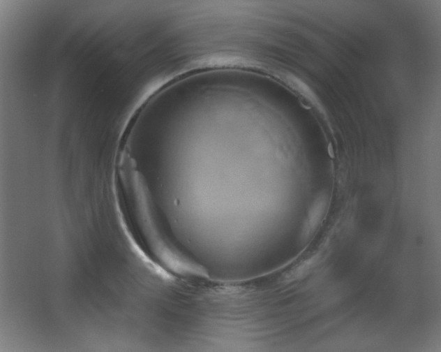 X0000068320847200604211203