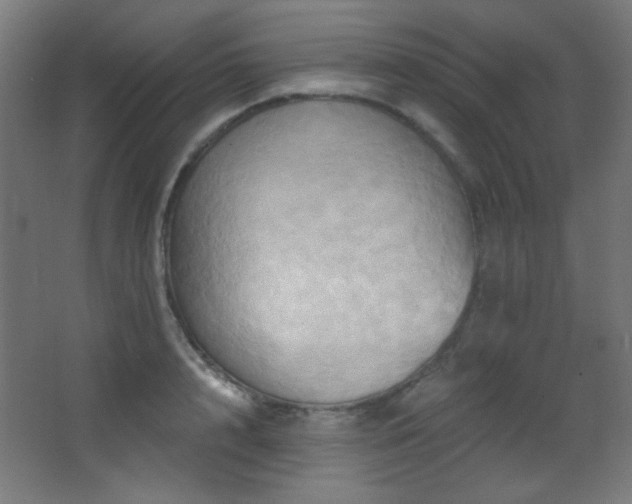 X0000068320848200604211203