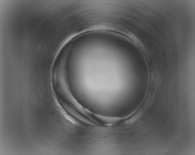 X0000068320854200604211203
