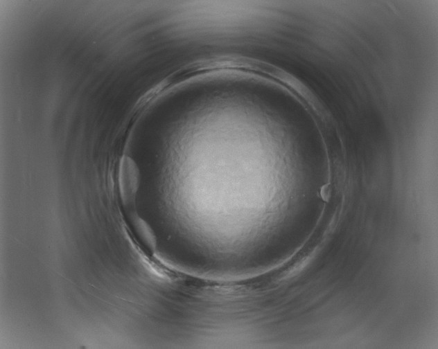 X0000068320857200604211203