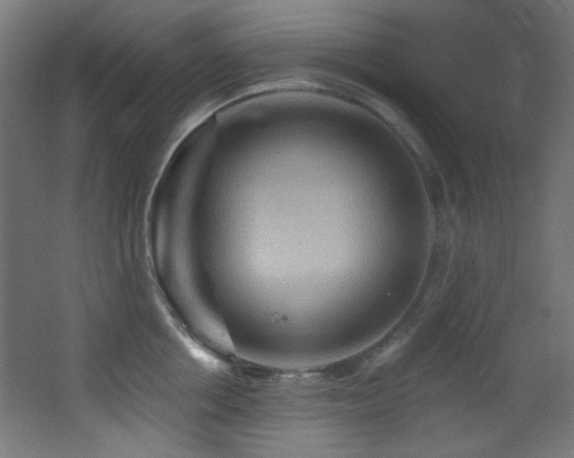 X0000068320858200604211203