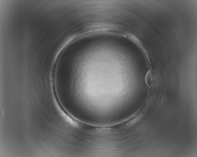 X0000068320859200604211203