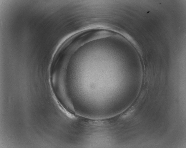 X0000068320862200604211203