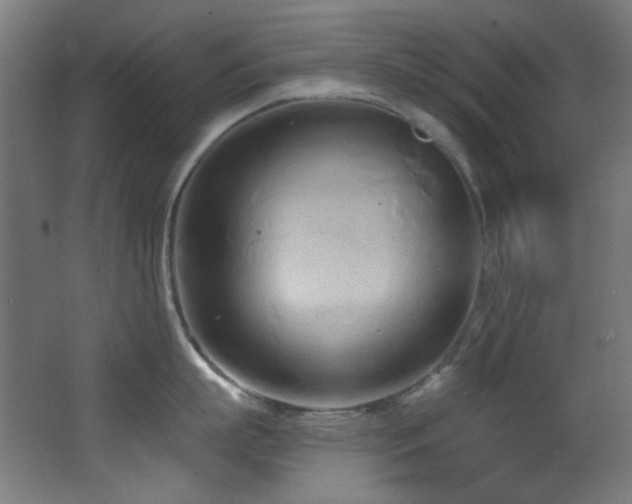 X0000068320863200604211203