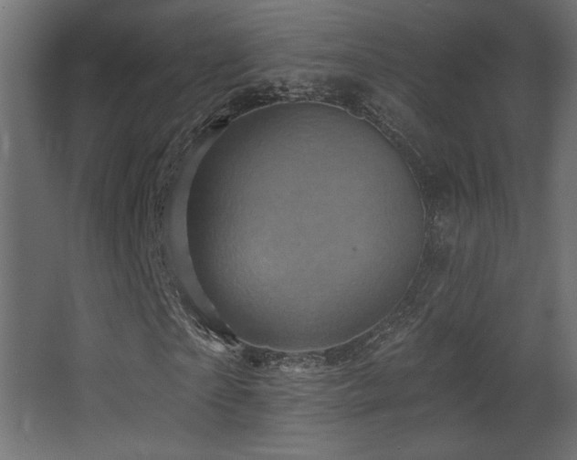 X0000068320865200604211203