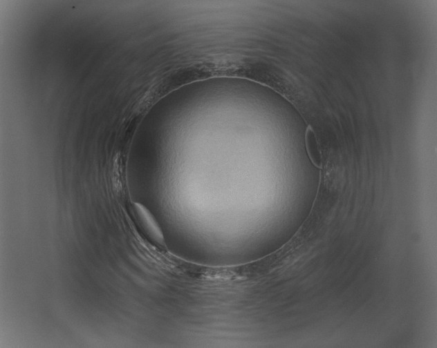 X0000068320866200604211203