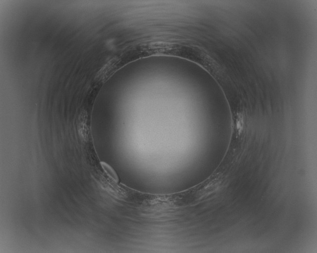 X0000068320867200604211203