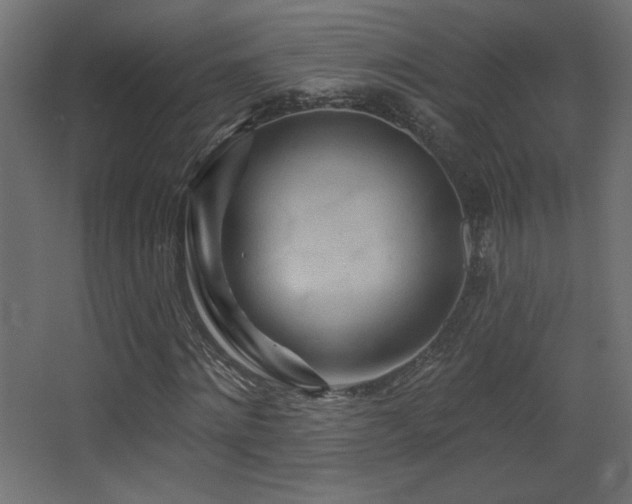 X0000068320868200604211203