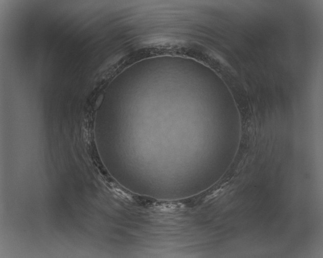 X0000068320869200604211203