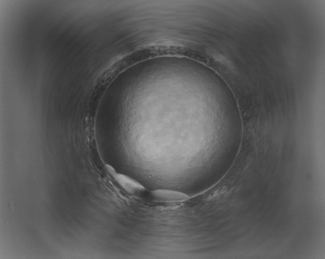 X0000068320870200604211203
