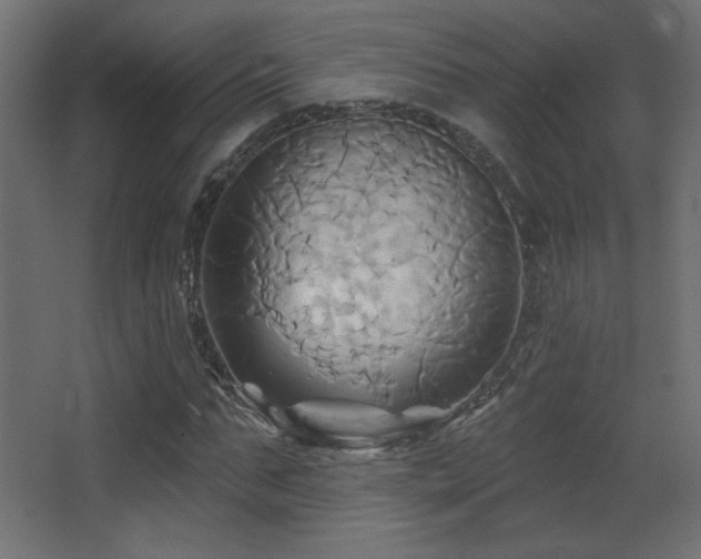 X0000068320871200604211202