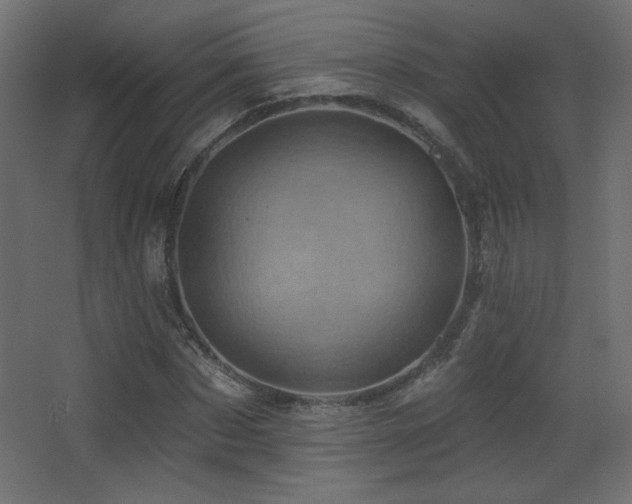 X0000068320873200604211202