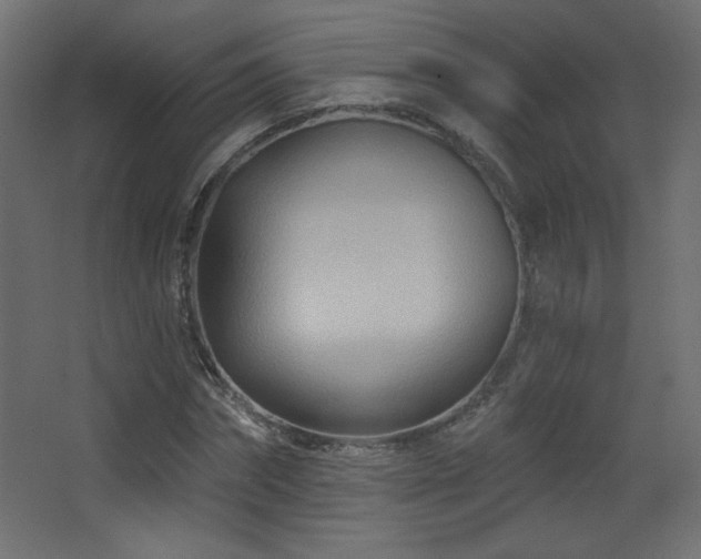 X0000068320874200604211202