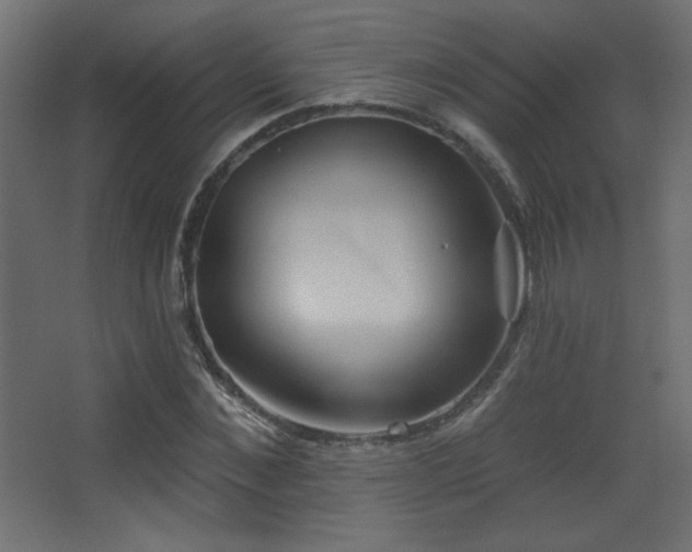 X0000068320876200604211202