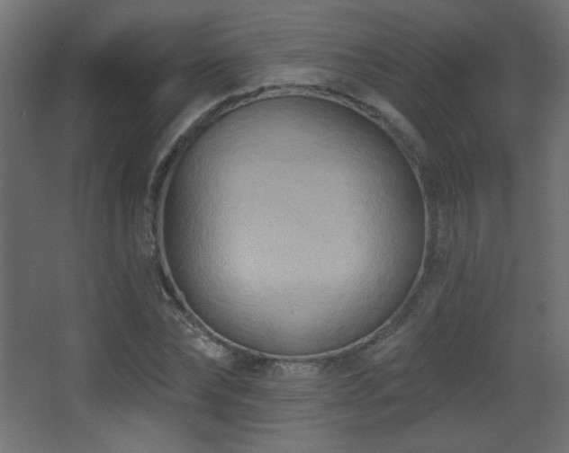 X0000068320878200604211202