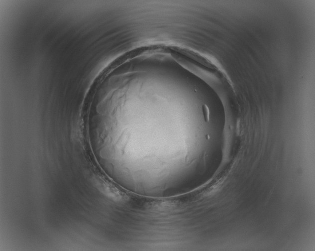 X0000068320879200604211202