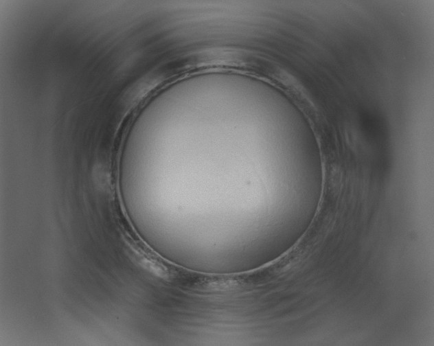 X0000068320882200604211202