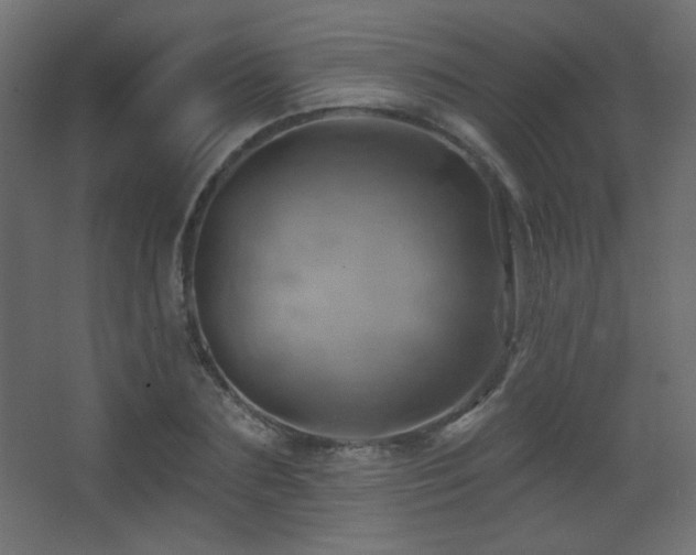 X0000068320883200604211202