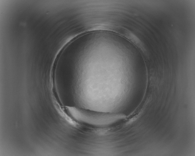 X0000068320892200604211202