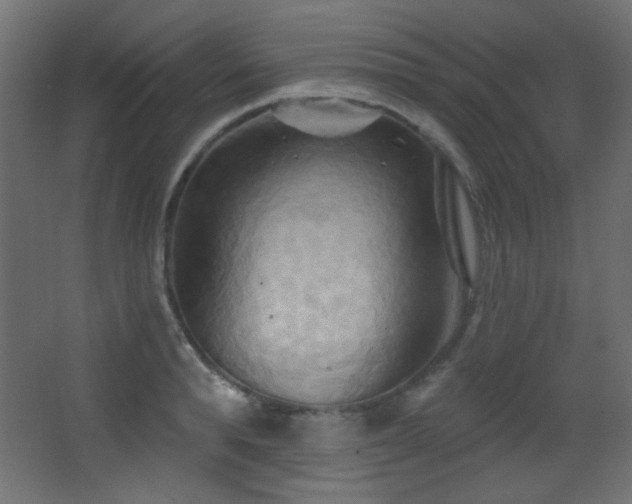 X0000068320896200604211202