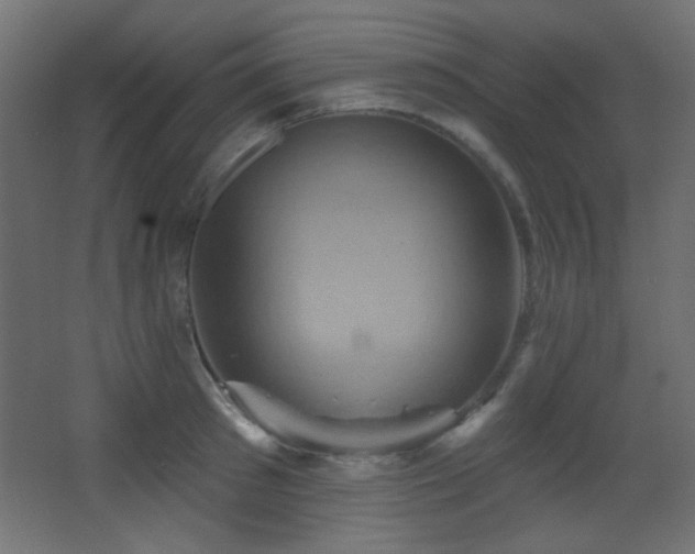 X0000068320897200604211202