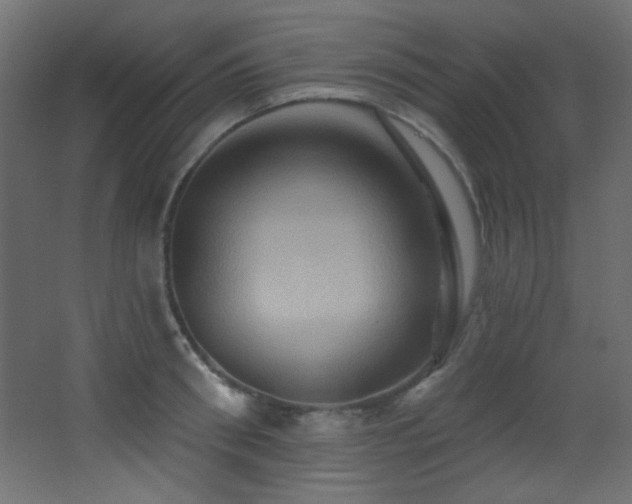 X0000068320898200604211202