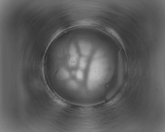 X0000068320899200604211202