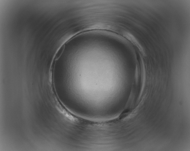 X0000068320900200604211202