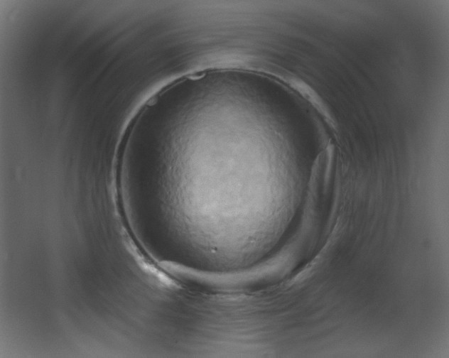 X0000068320904200604211202