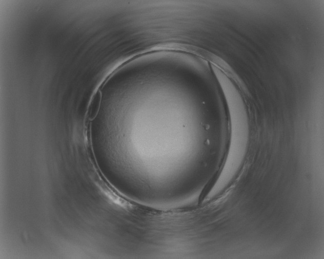 X0000068320908200604211202