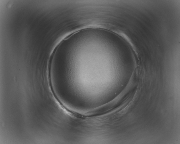 X0000068320910200604211202