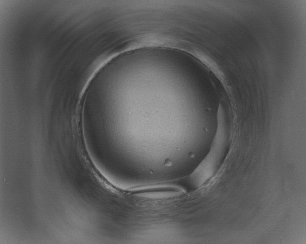 X0000068320912200604211202