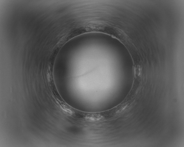 X0000068320915200604211201