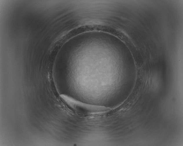 X0000068320919200604211201
