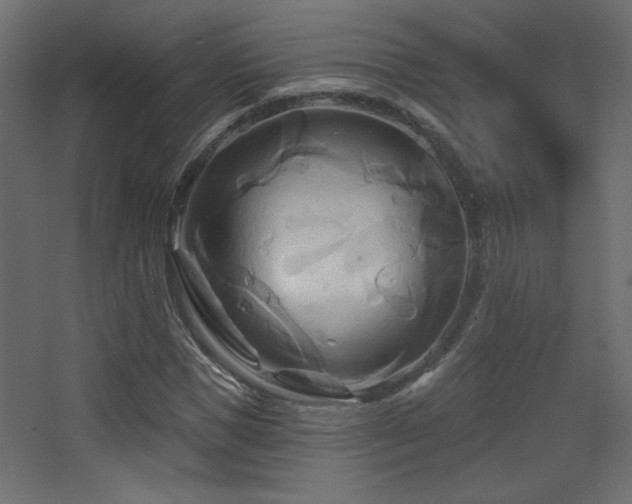 X0000068320921200604211201