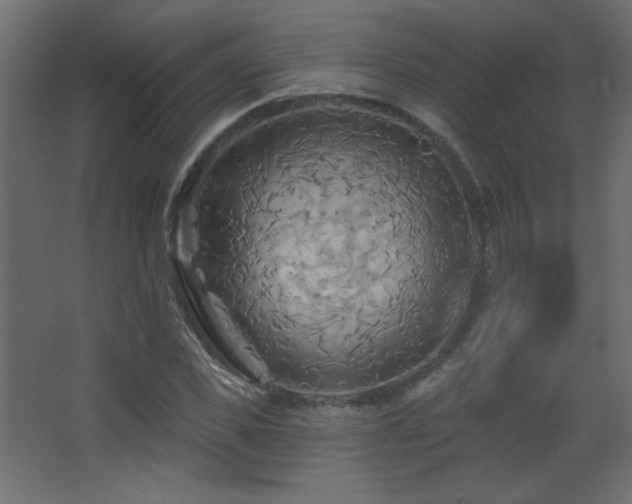 X0000068320925200604211201